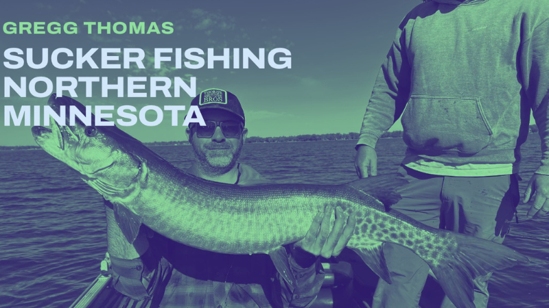 Sucker Fishing Northern Minnesota w/ Gregg Thomas