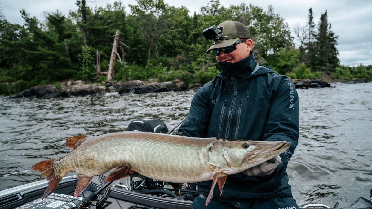 Lake of the Woods Musky with Doug Wegner and Nellie Part 1