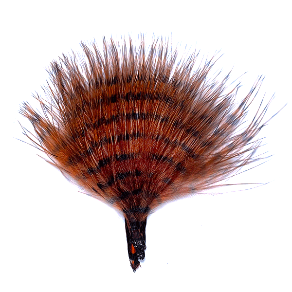 MFC Buggerbou Mini Barred