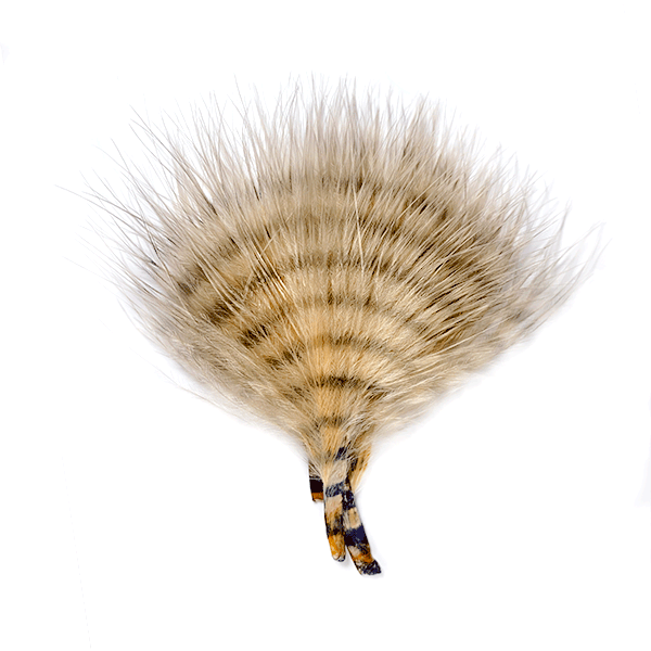 MFC Buggerbou Mini Barred