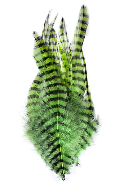 MFC Barred Saddle Hackle