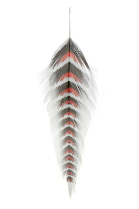 MFC Galloup's Fish Feathers-Grizzled