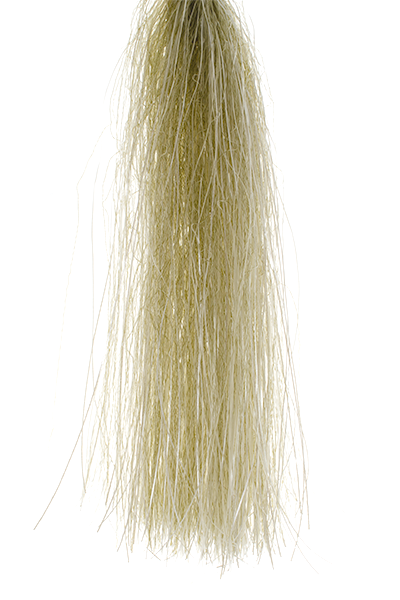 MFC Senyo's Shadow Fiber