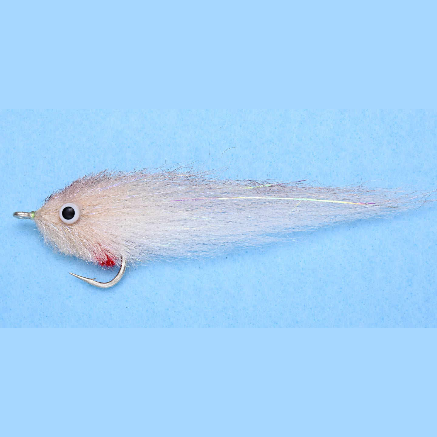 EP Fly GT Sardina 5/0