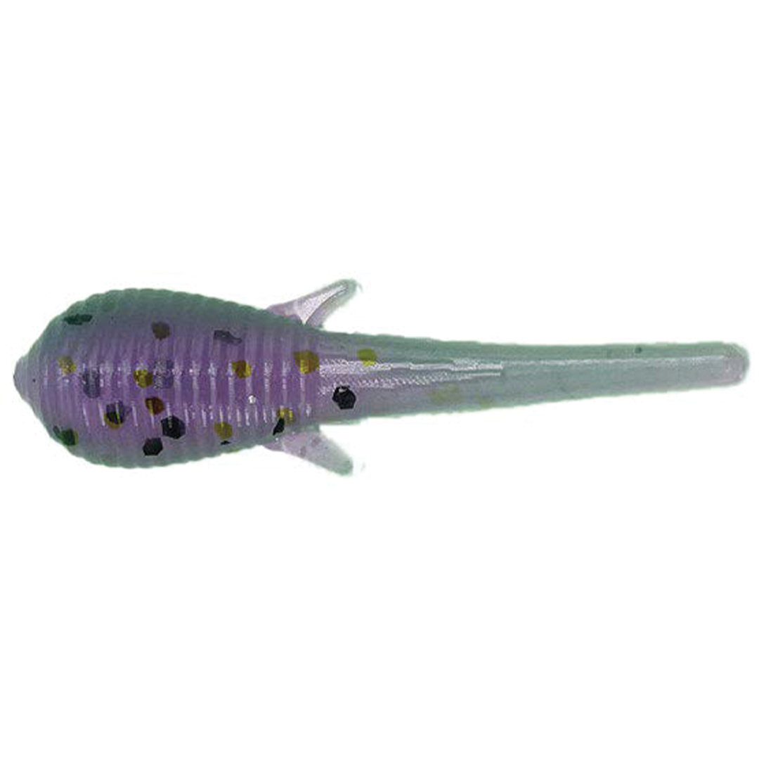 Clam Niku Soldier Fly