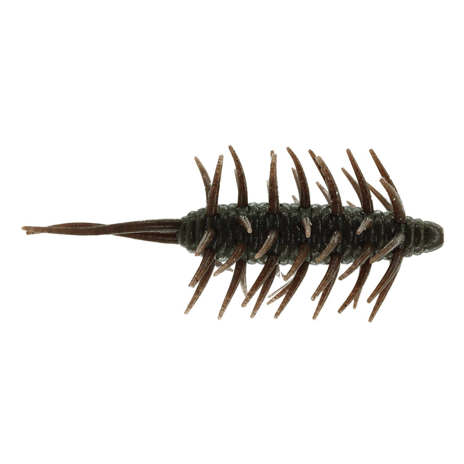 Hideup Coike Shrimp XL