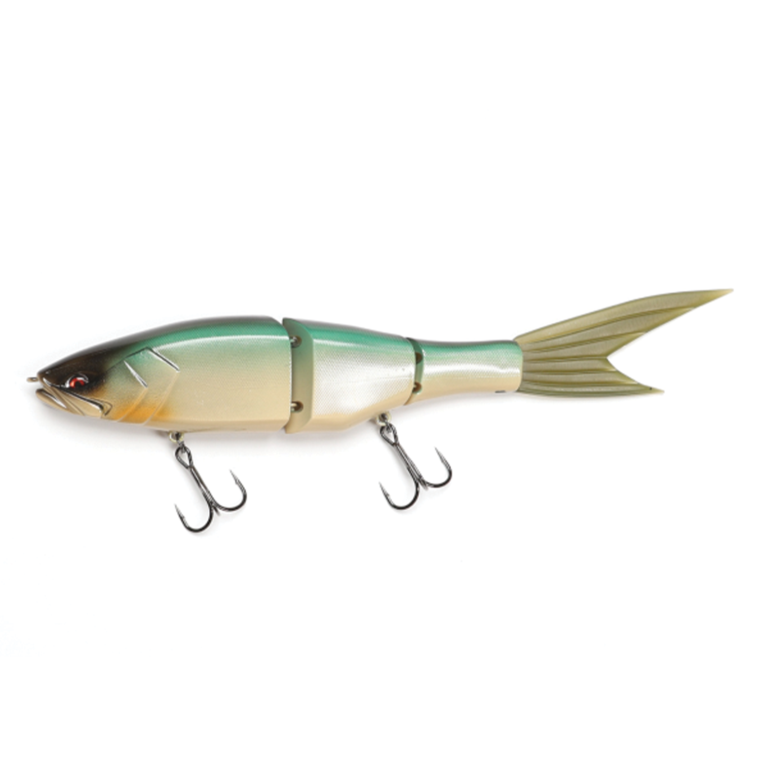 Galápagos Grace 240F