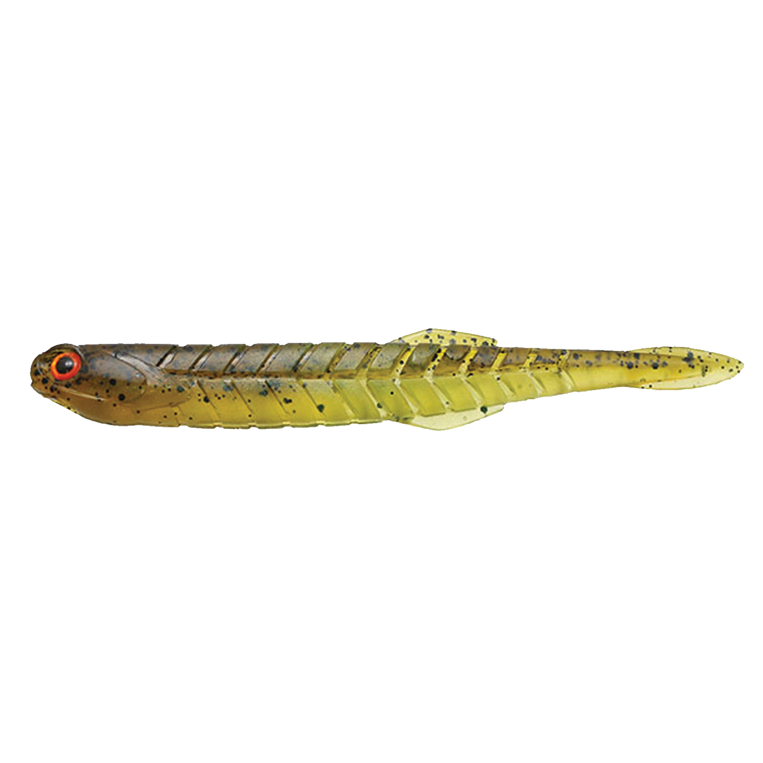 Issei Katakuchi Worm