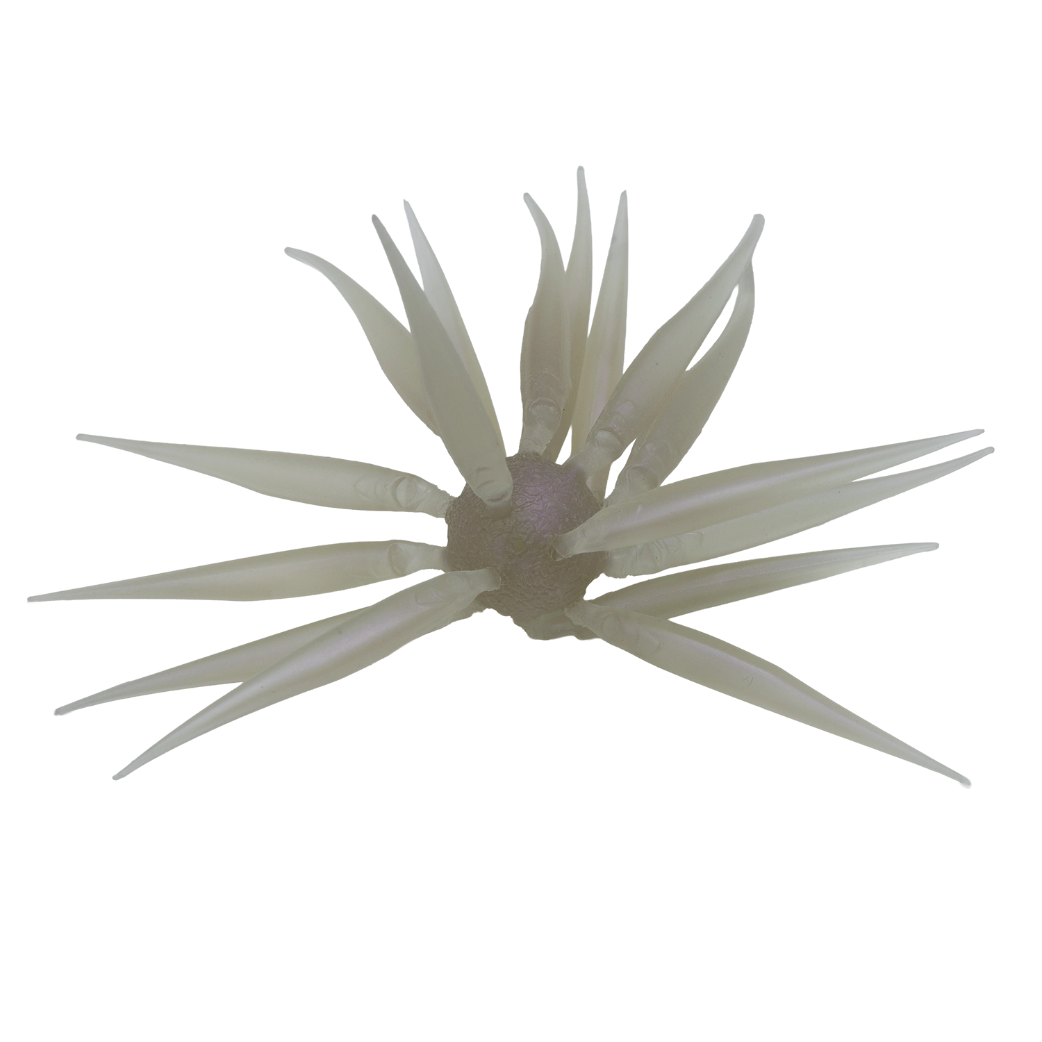 Hideup Coike Fish M (Elastomer)
