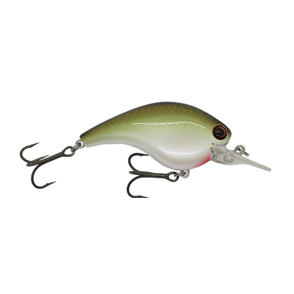 Ichikawa RC Flat Shad 65MD Squarebill Crankbait