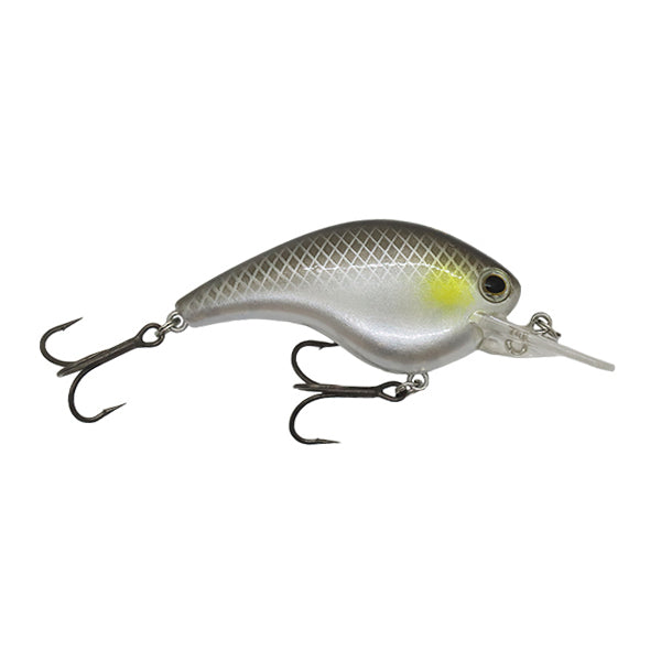Ichikawa RC Flat Shad 65MD Squarebill Crankbait