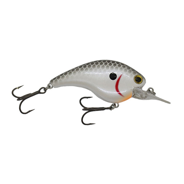 Ichikawa RC Flat Shad 65MD Squarebill Crankbait