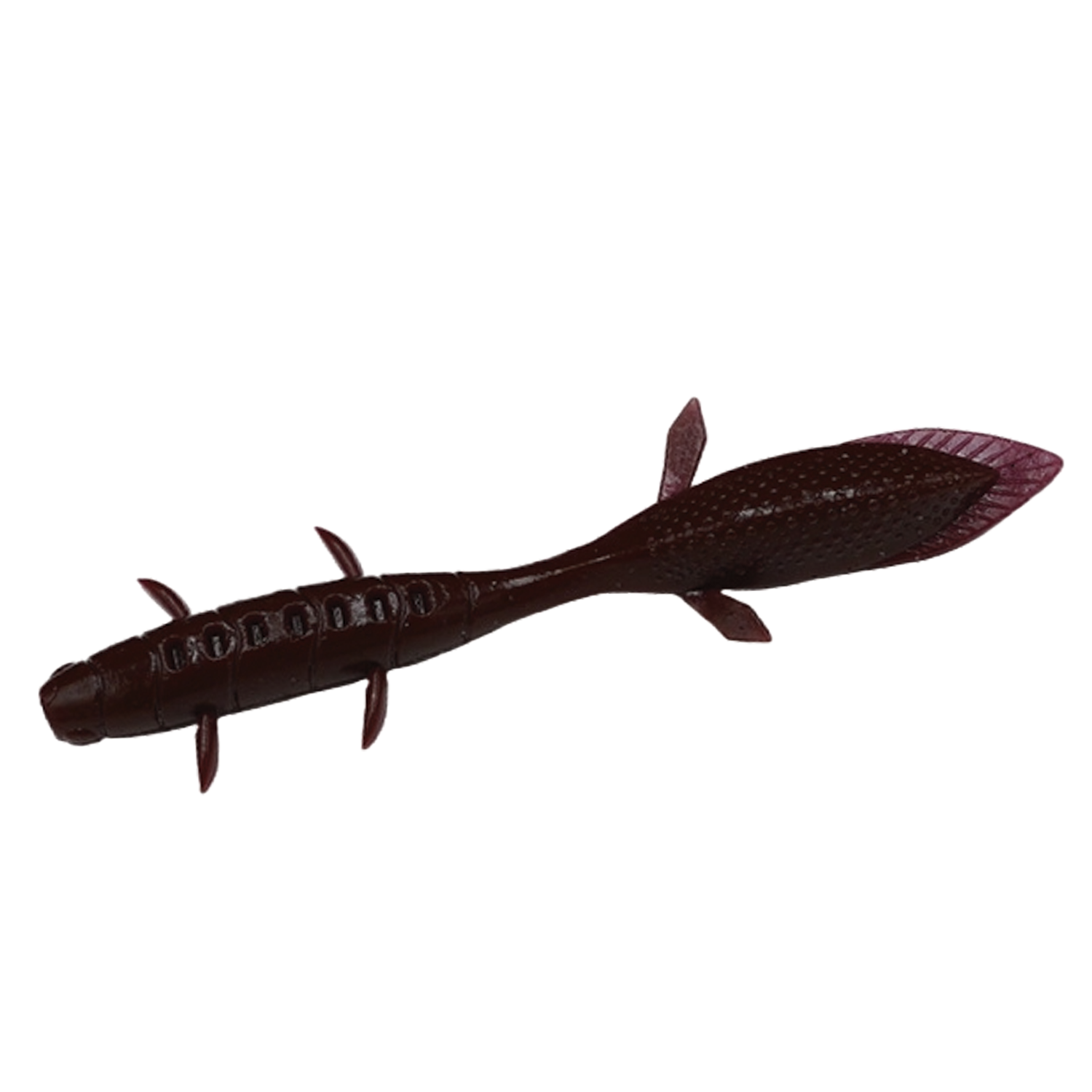 Galápagos Kubire Unagi 4"