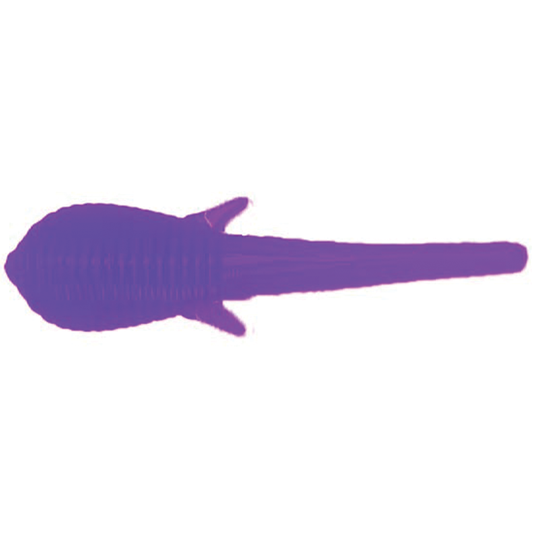 Clam Niku Soldier Fly