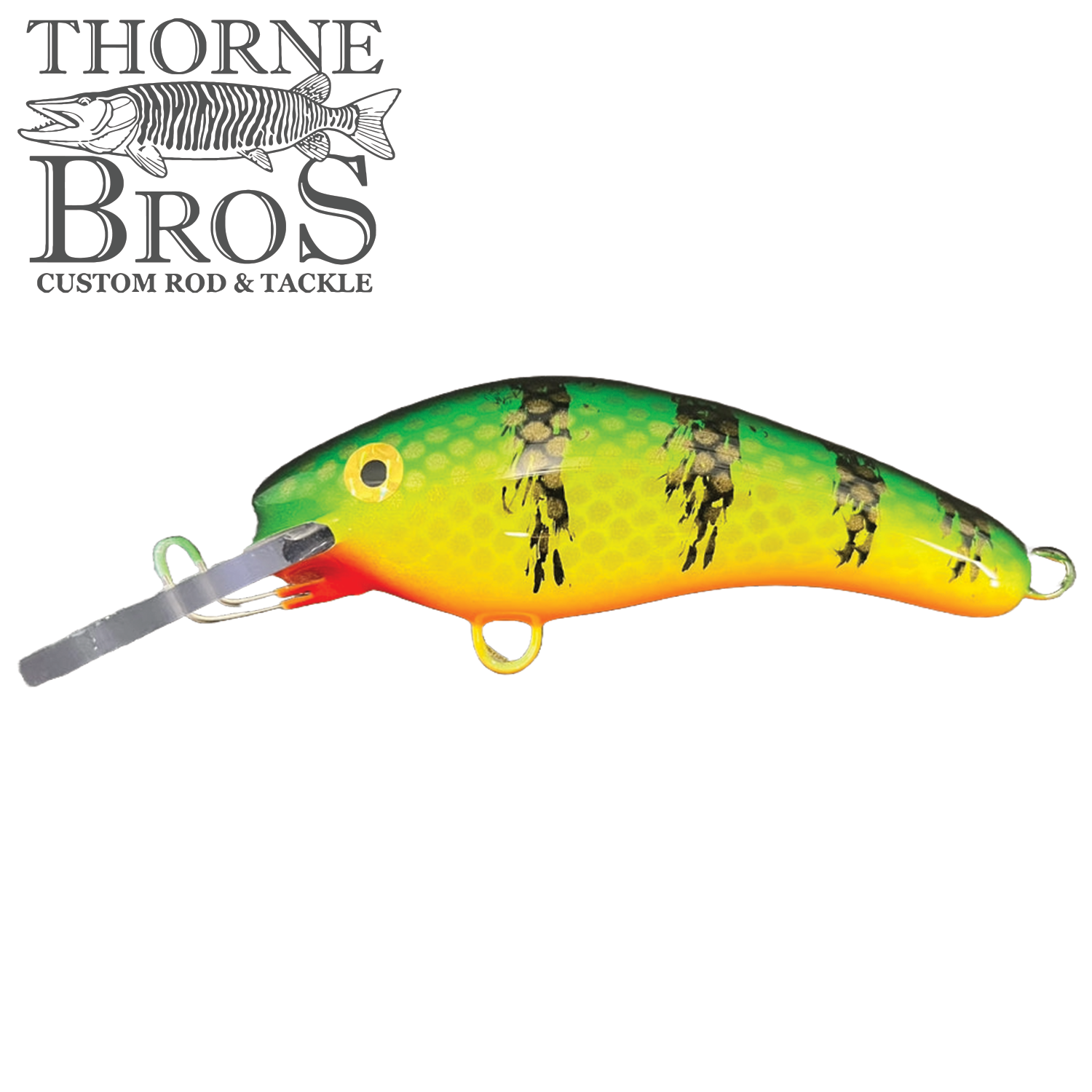 Blue Water Baits 5" K.O. Shad
