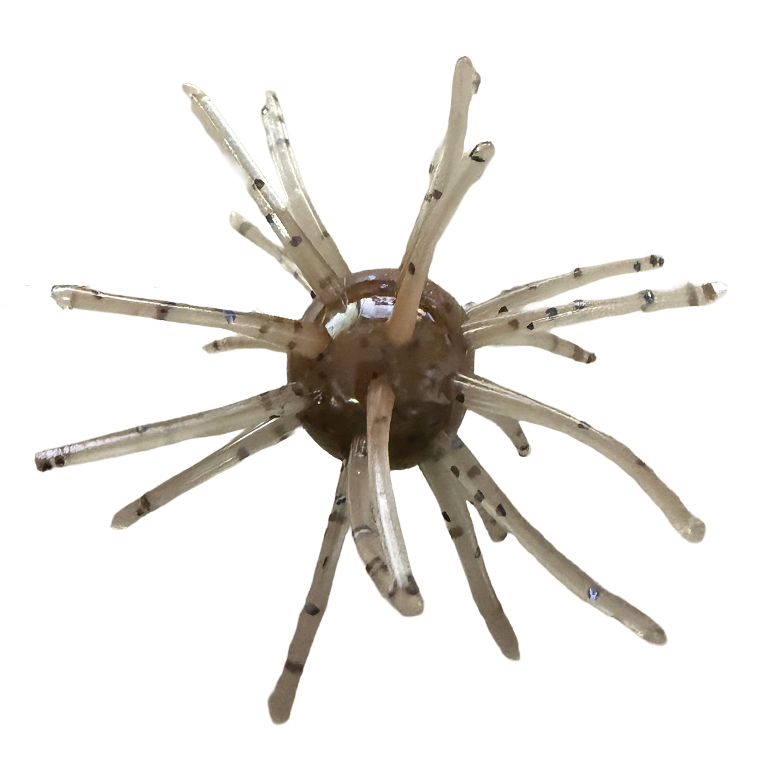 Randamu Lures Fuzzy Ball Mini soft fishing lure with translucent beige color and black speckles, designed to mimic aquatic prey for musky fishing tackle.