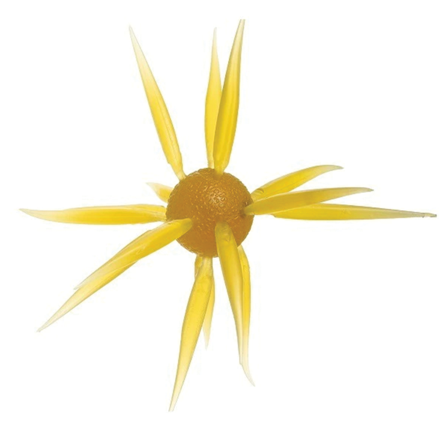 Hideup Coike Fish L (Elastomer)