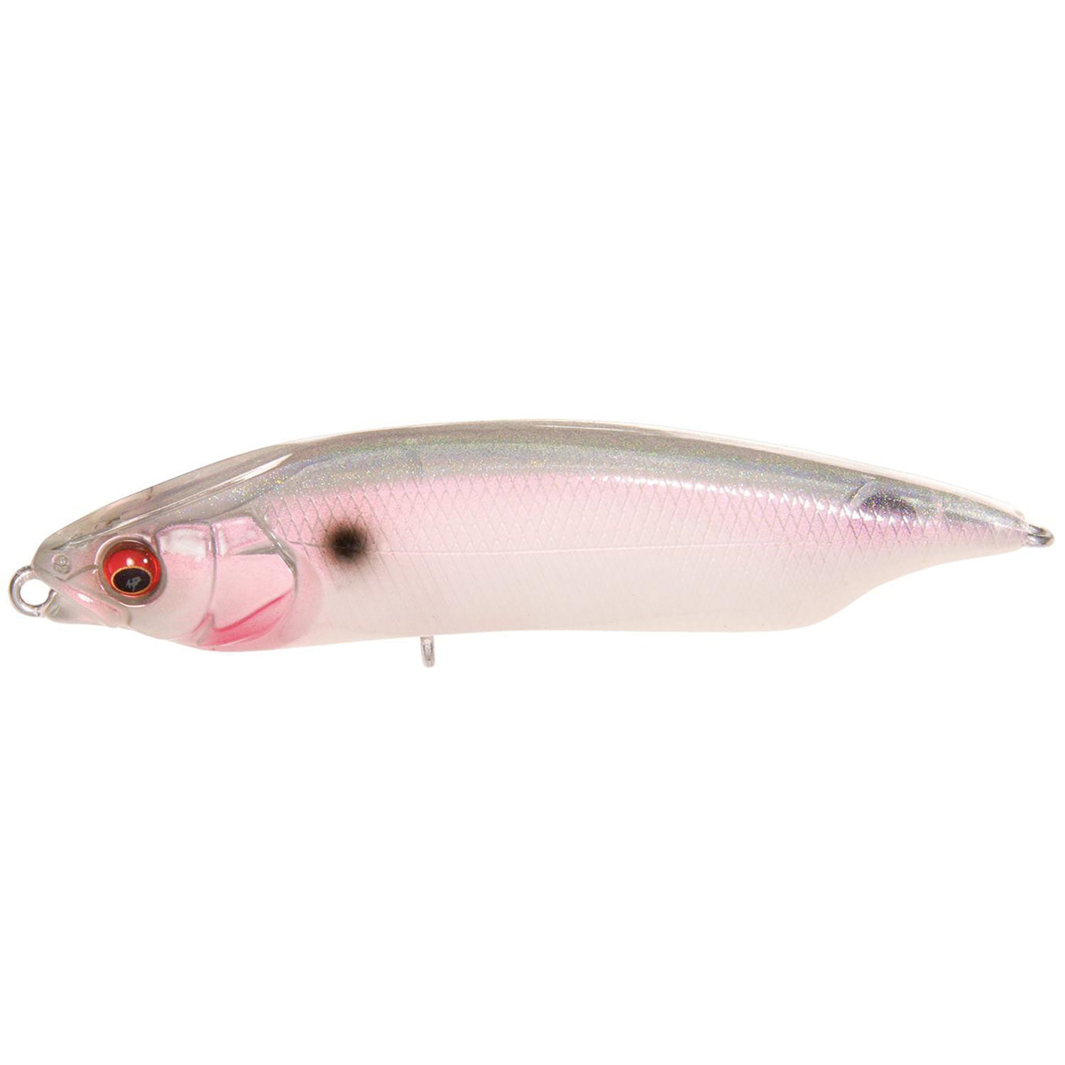 Clear detailed side view of Megabass Karashi 80 fishing lure with translucent pinkish body, realistic fish scale texture, red eye, and small black spot near head.