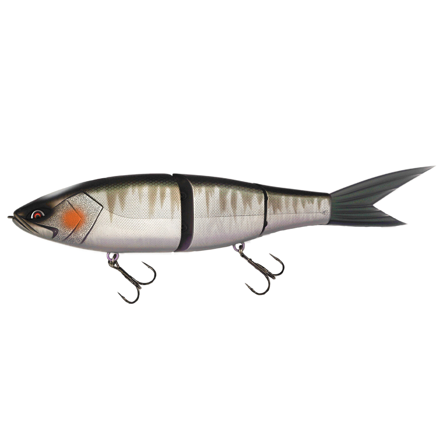 Galápagos Grace 280F