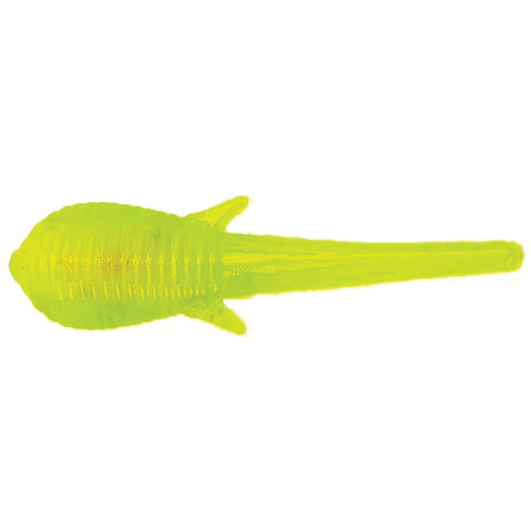 Clam Niku Soldier Fly