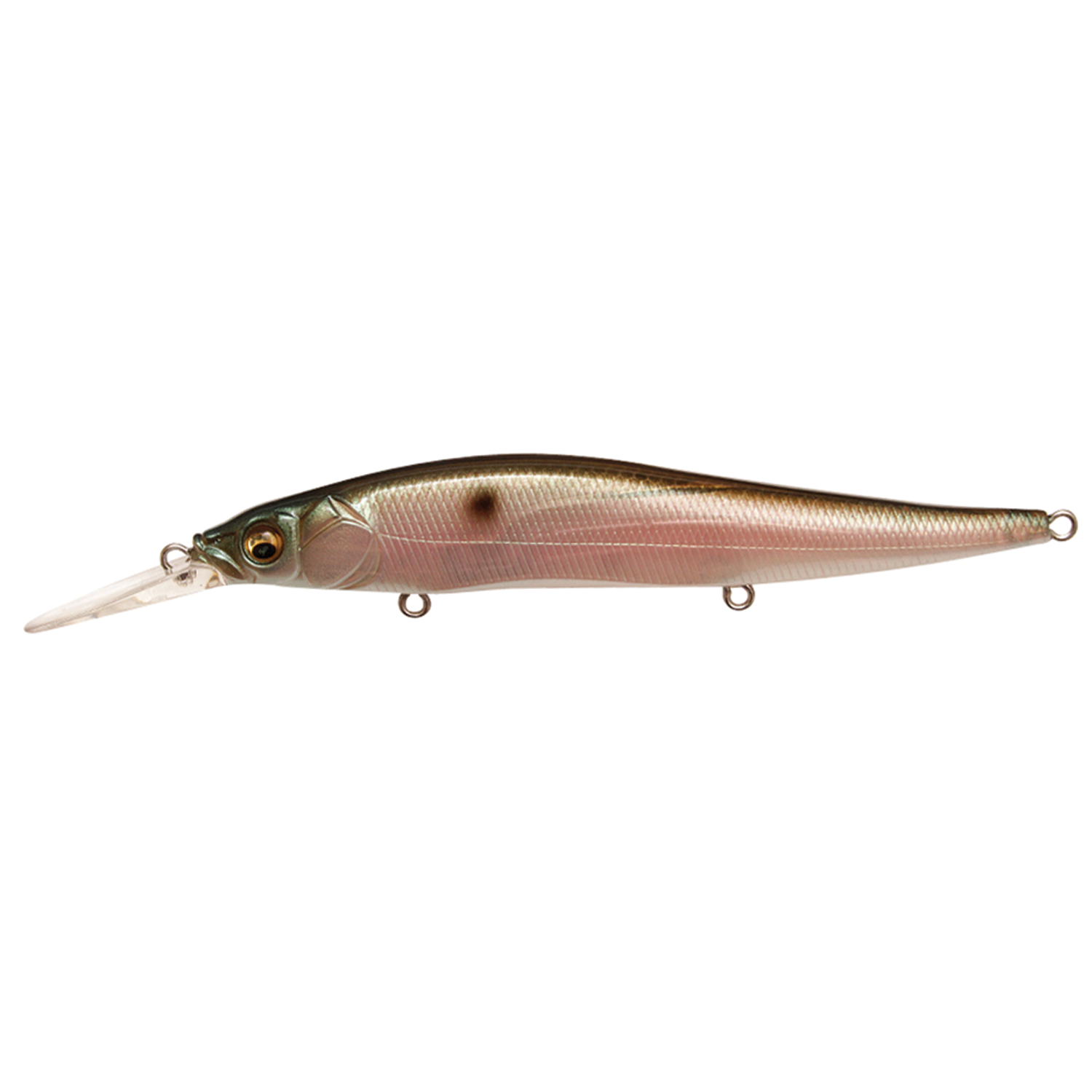 Megabass Vision 110+1 fishing lure in natural fish colors with detailed scale texture and a long clear diving lip designed for precise casting and effective fish attraction.