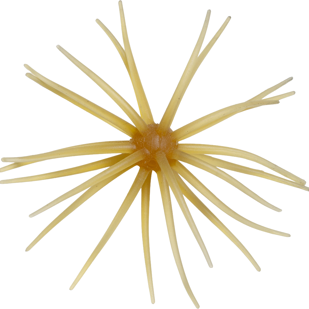 Hideup Coike Soft (OG Limited Edition)