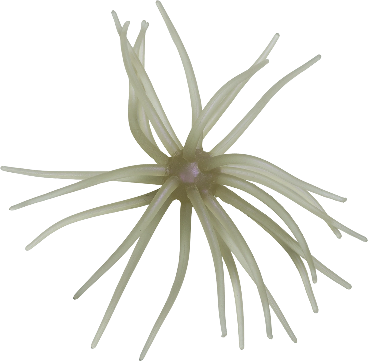 Hideup Coike Soft (OG Limited Edition)