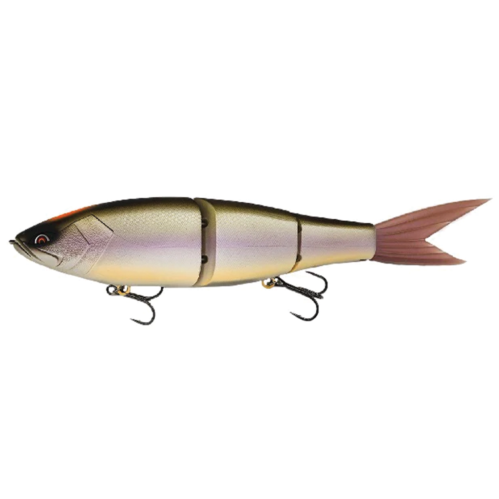 【Galápagos 】Grace 280 Sinking レッドアイ限定品 Galápagos Grace 280S