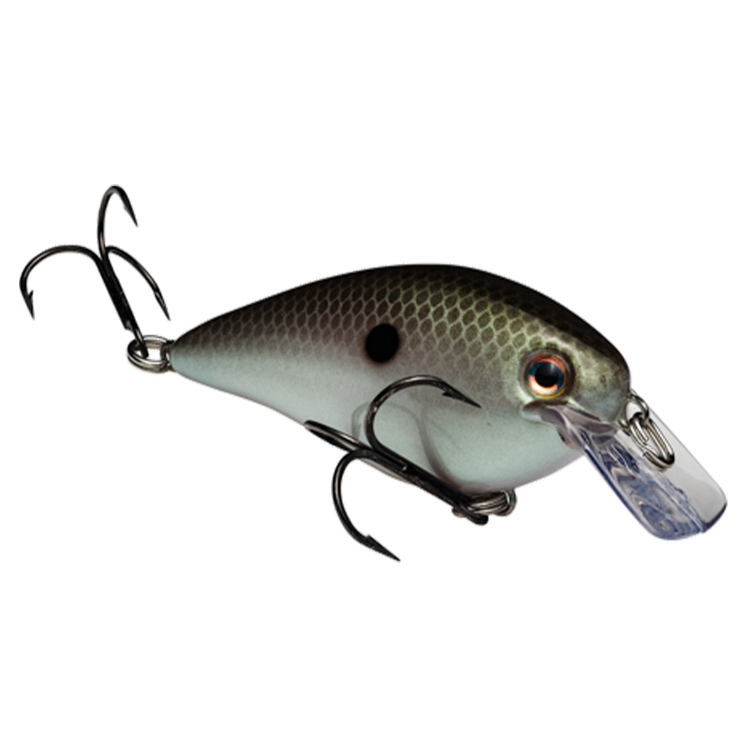 Strike King KVD Squarebill (Regular)