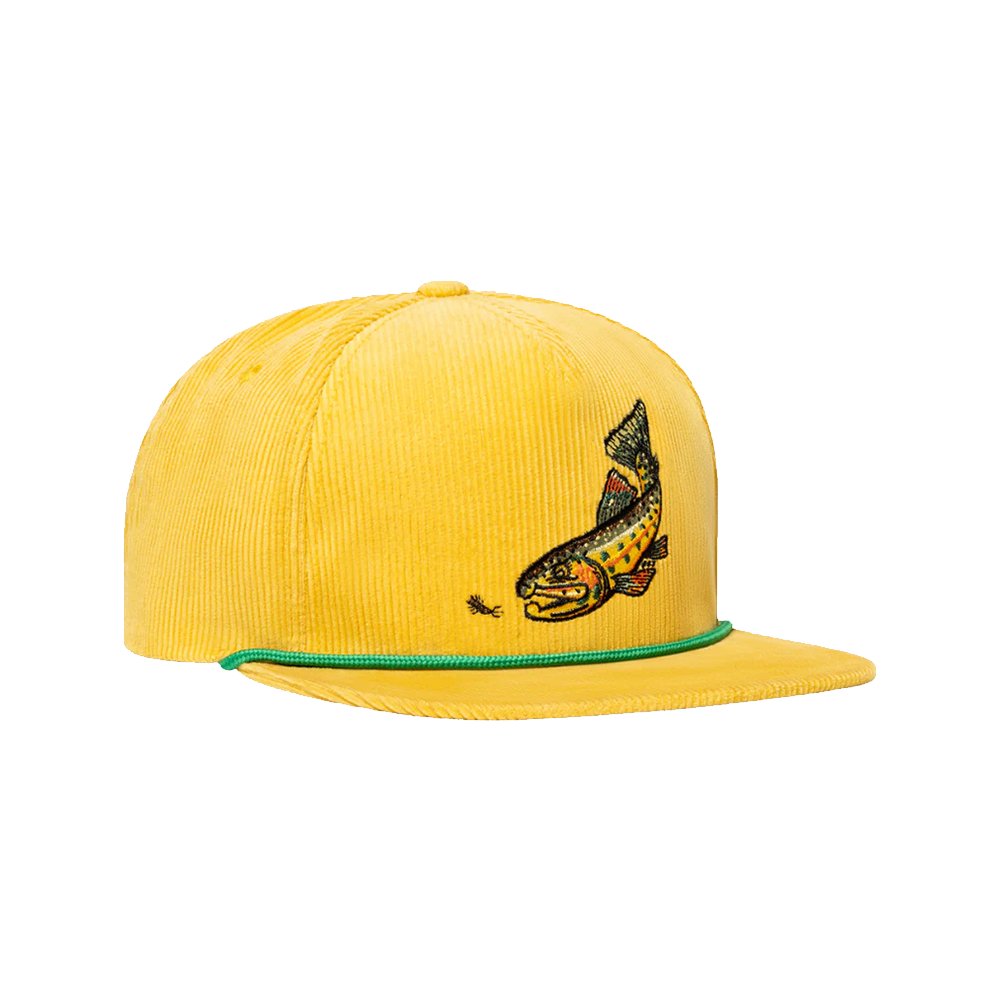 Bajio - Hats