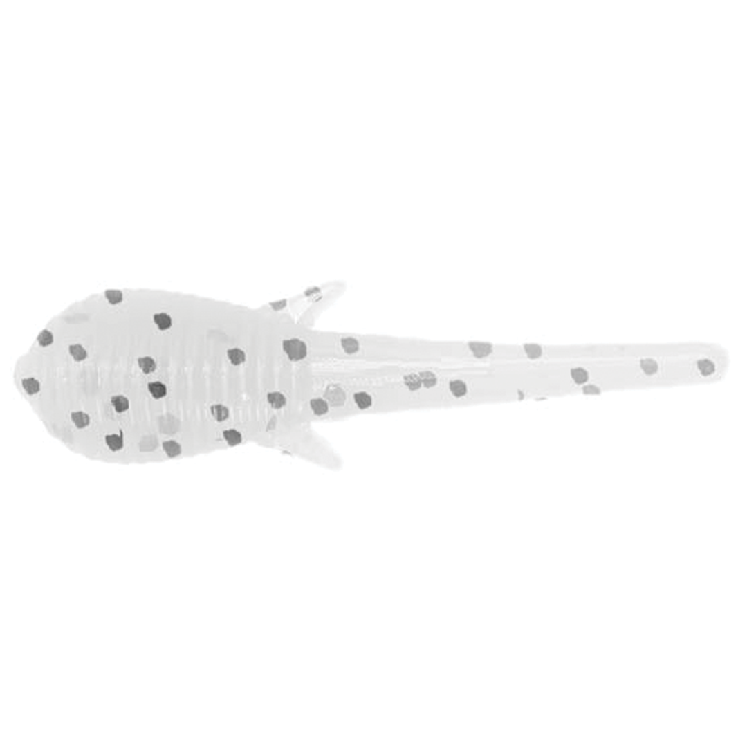 Clam Niku Soldier Fly