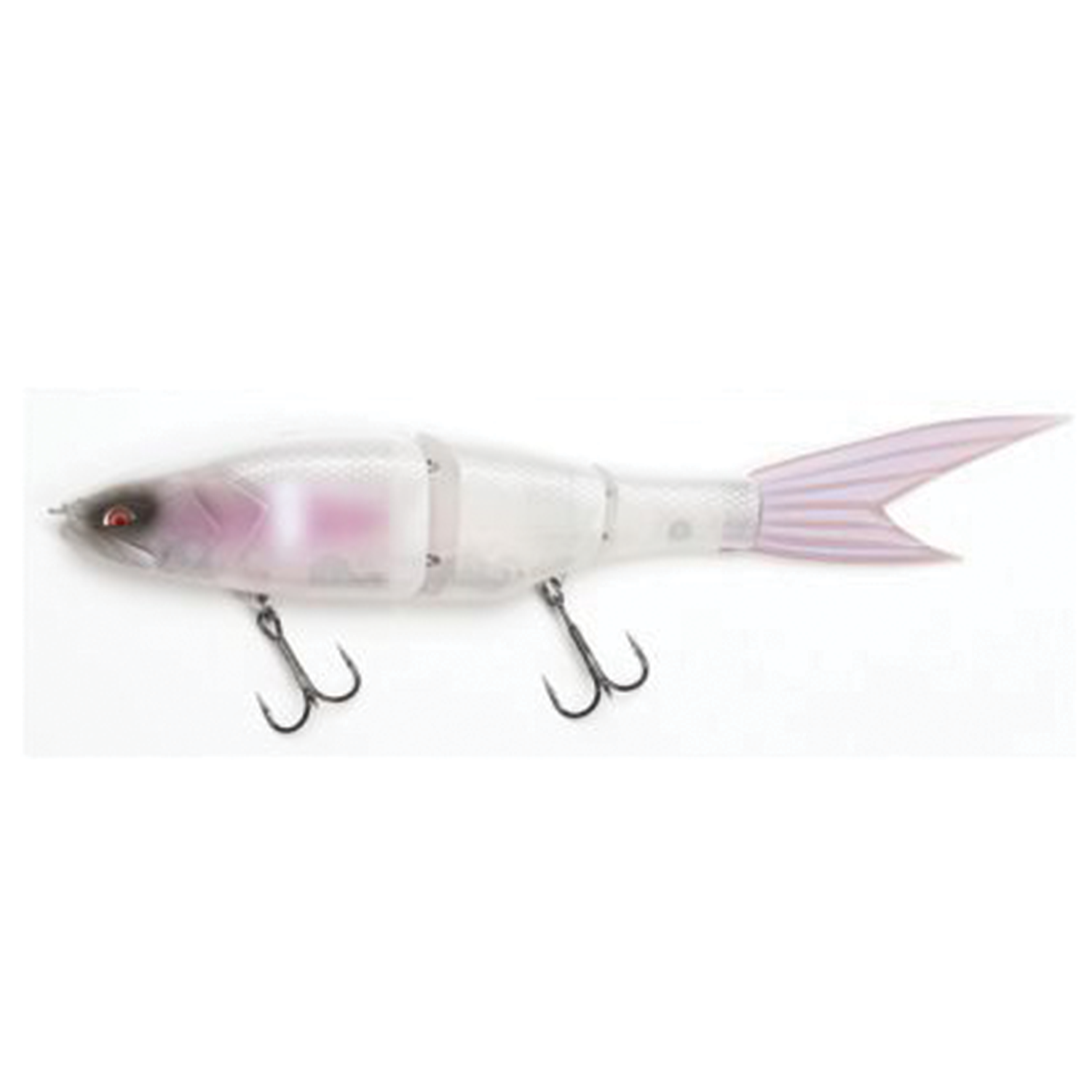 Galápagos Grace 240F