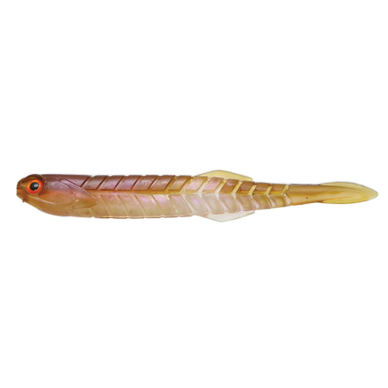 Issei Katakuchi Worm