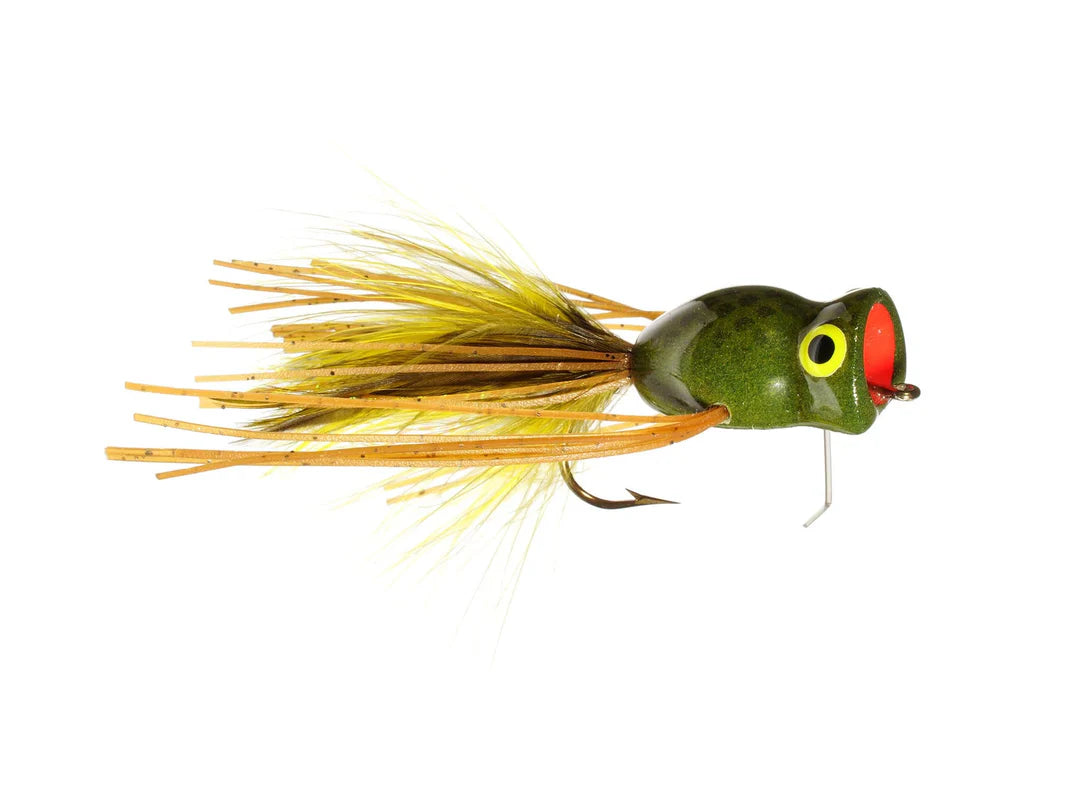 Rainy's Rattlin' Frog