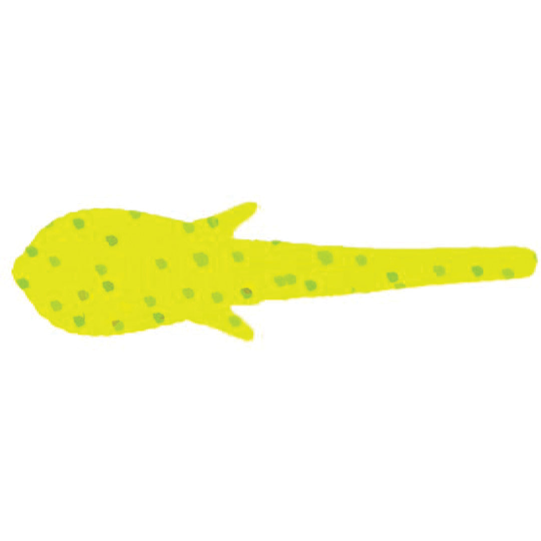 Clam Niku Soldier Fly