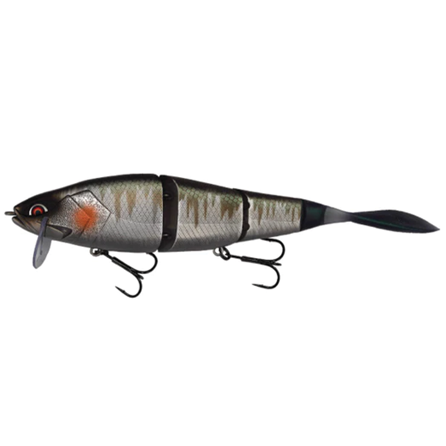 Galápagos Grace 210L