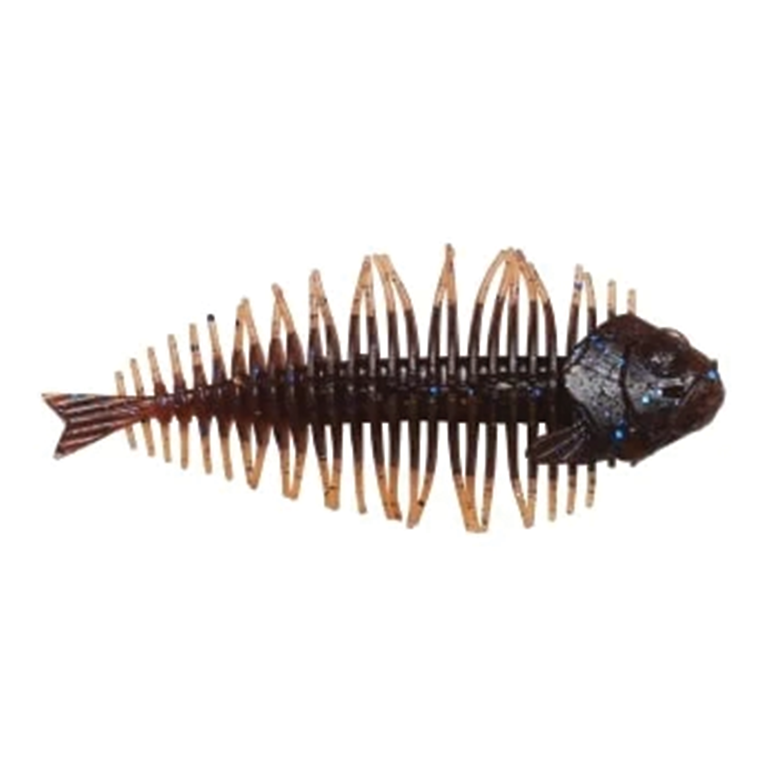 Dstyle Geelacanth