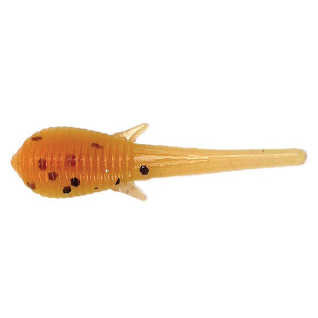 Clam Niku Soldier Fly