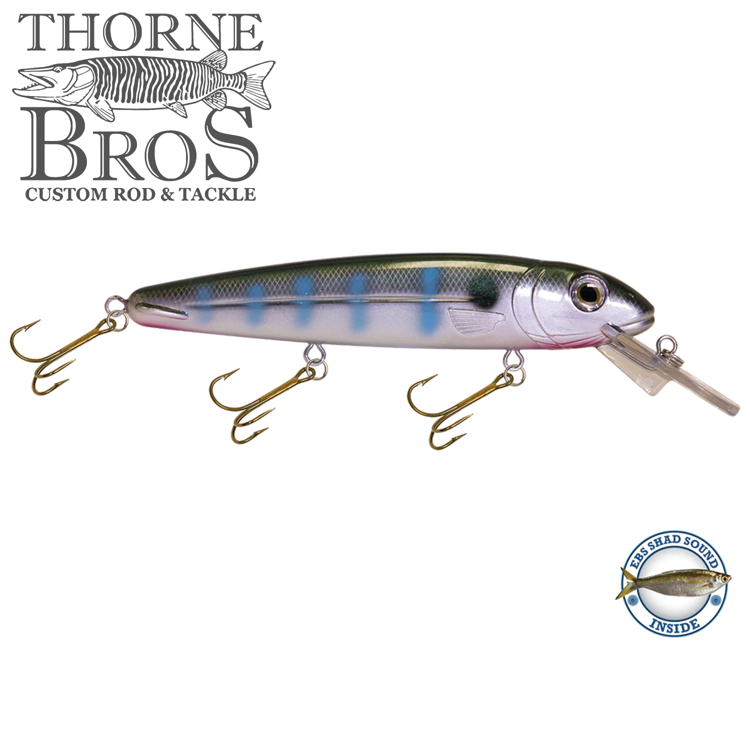Livingston Lures Rachel 192