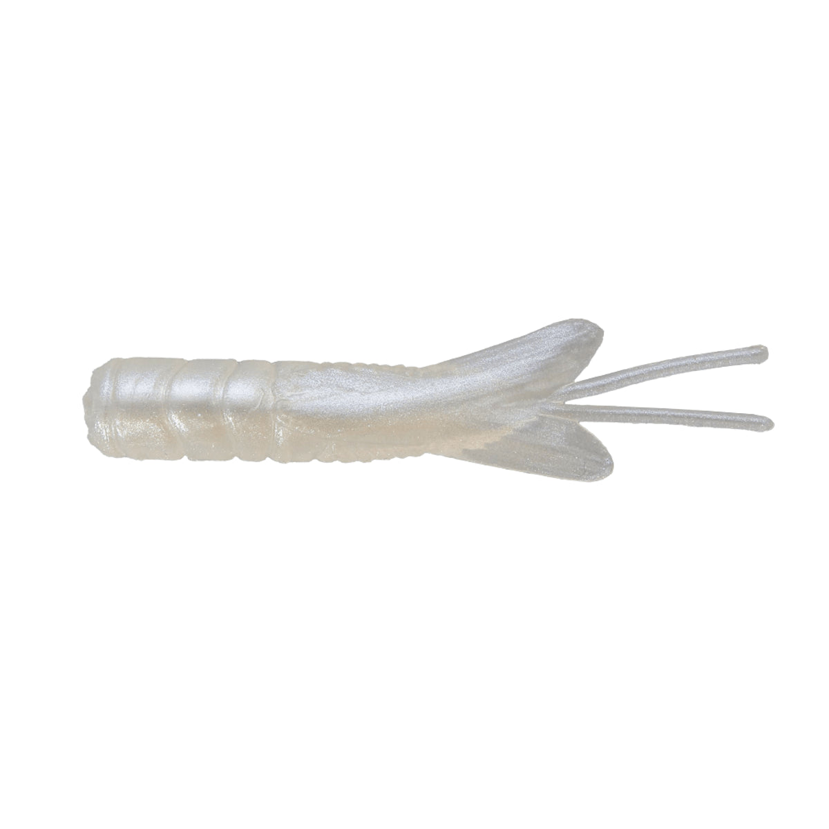 Northland Pan-Candy Larvae Bug