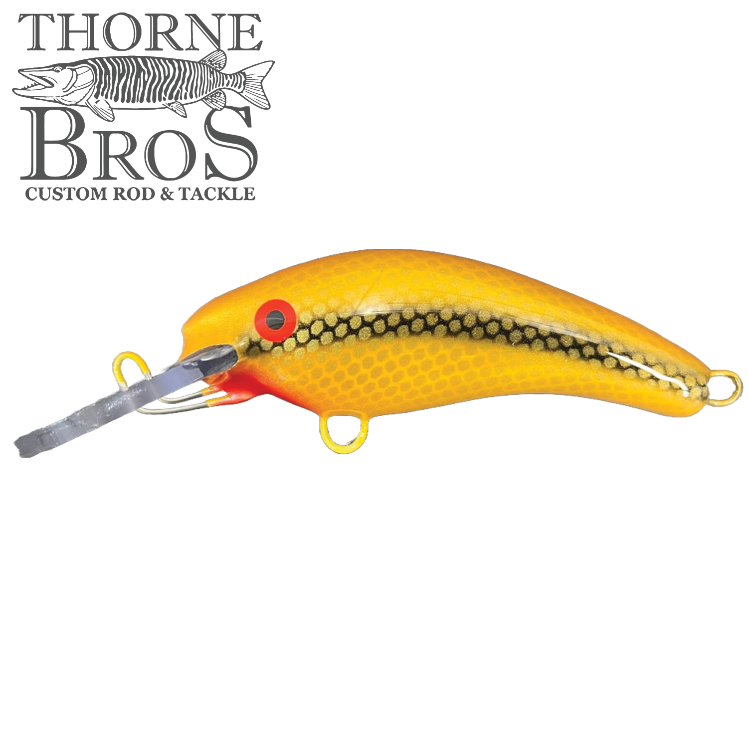 Blue Water Baits 5" K.O. Shad