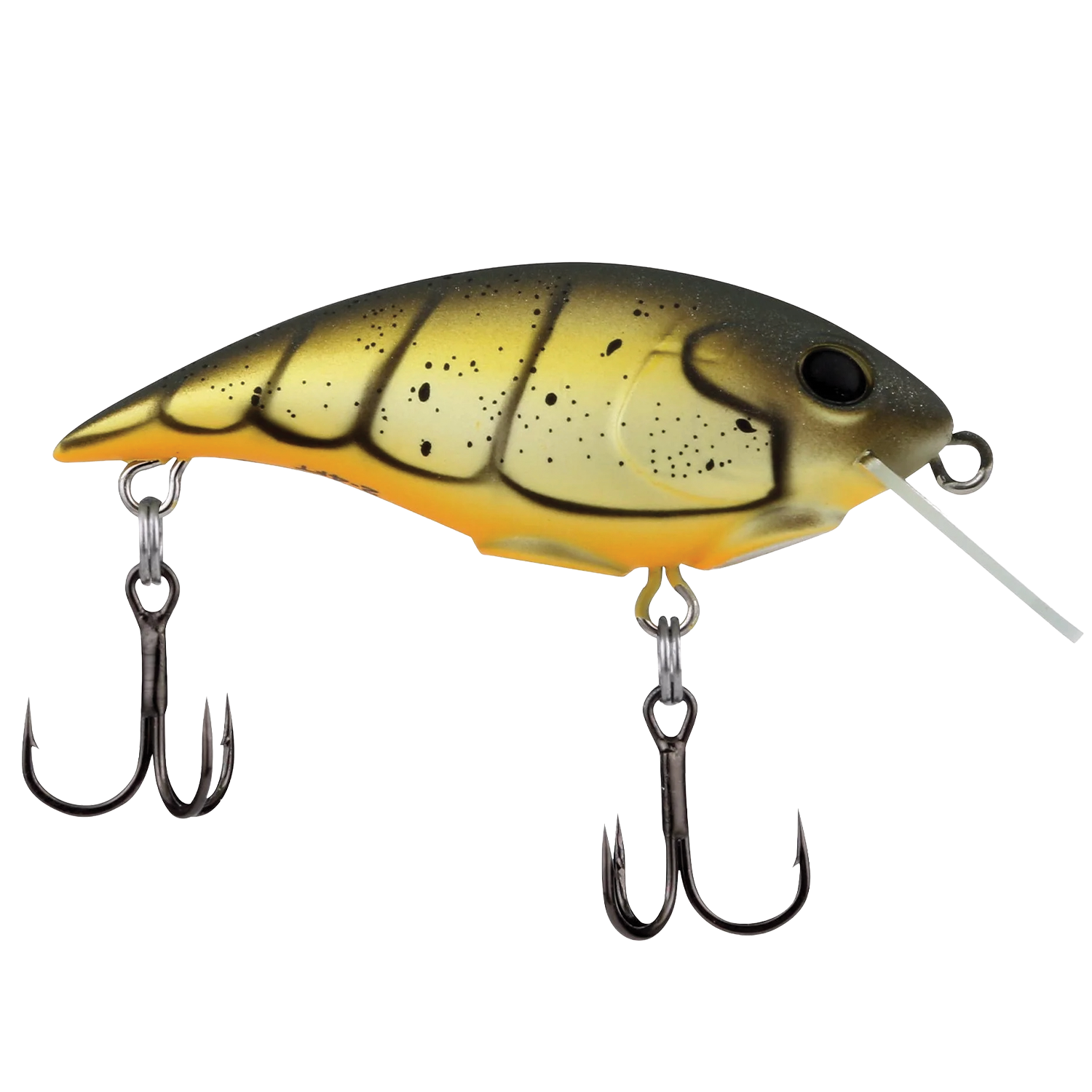 Berkley Money Badger - Shallow