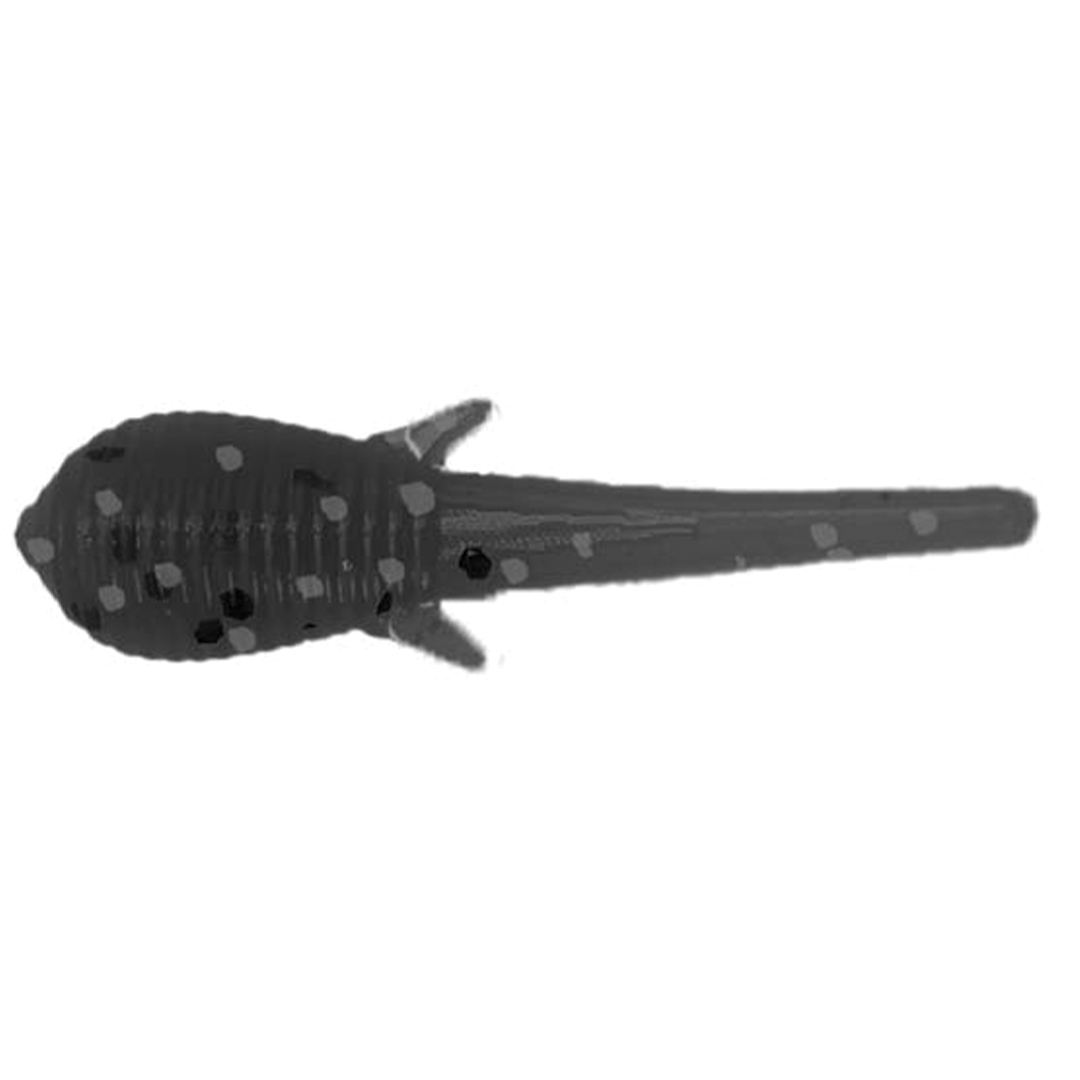 Clam Niku Soldier Fly