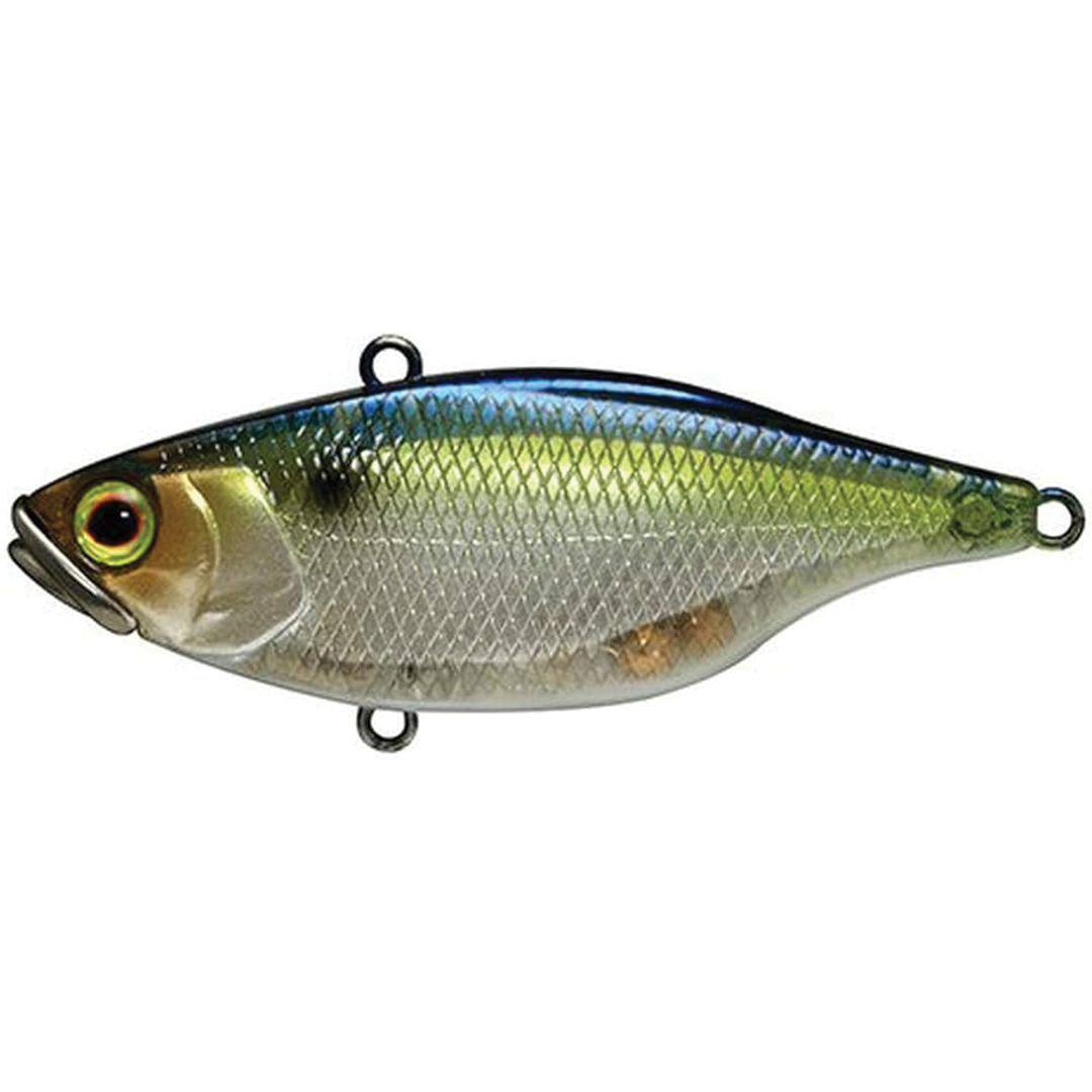 Jackall TN60 Disk Knocker