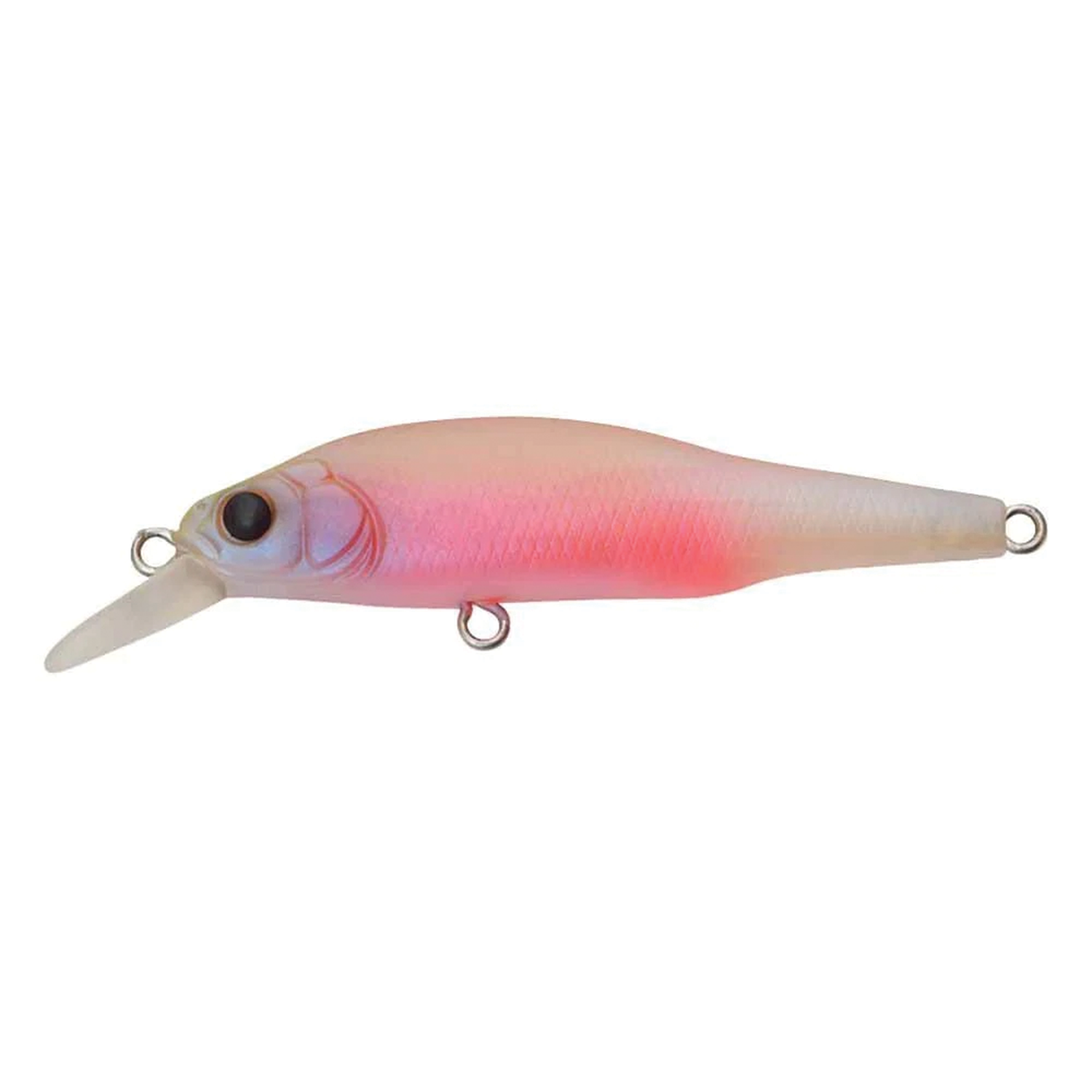 Megabass X-80 Jr.
