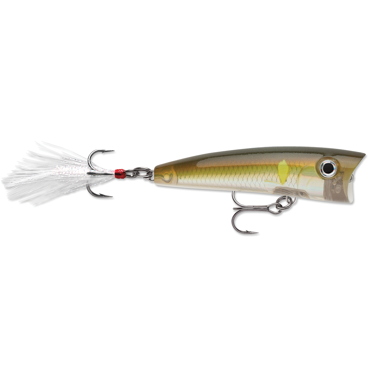 Rapala X-Rap Pop topwater fishing lure with realistic fish pattern large eye and feathered rear treble hook for fishing tackle collections