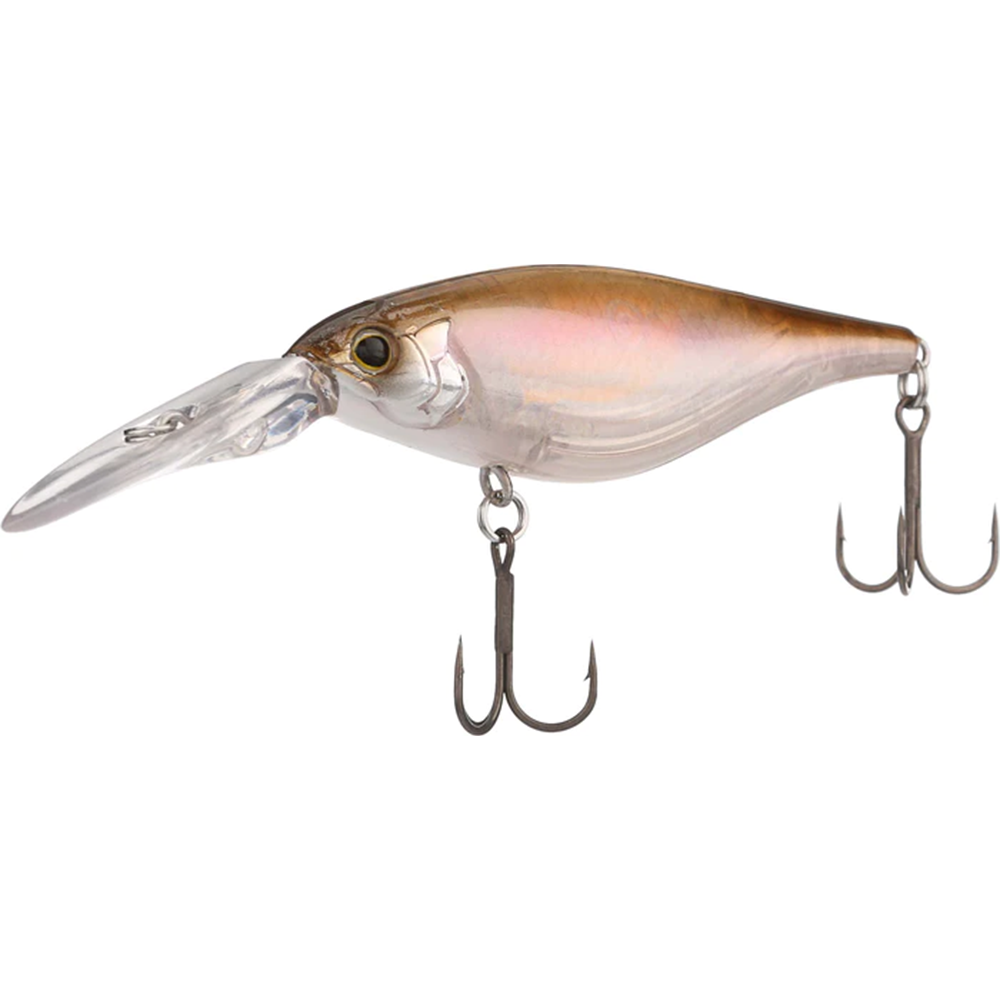 Shimano Enber 60SP - FB
