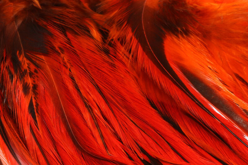 Hareline Badger Saddle Hackle
