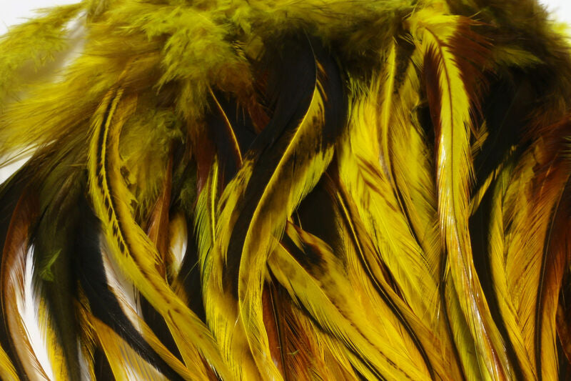 Hareline Badger Saddle Hackle