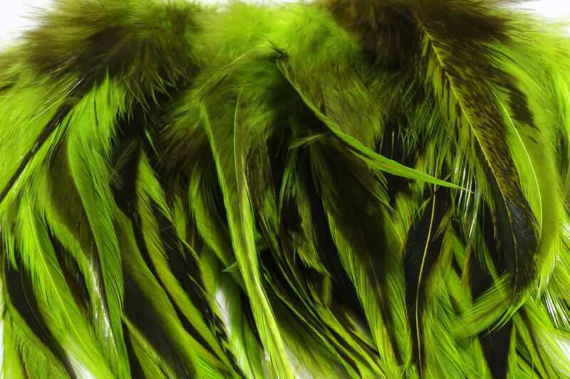 Hareline Badger Saddle Hackle